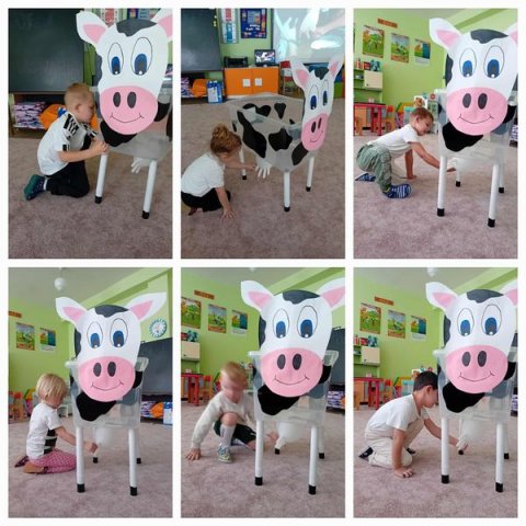 553581583_1241462281083083_1468511950976980095_n