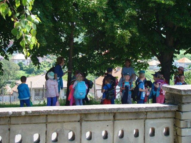 DSC05002