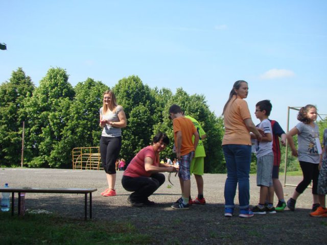 DSC07787