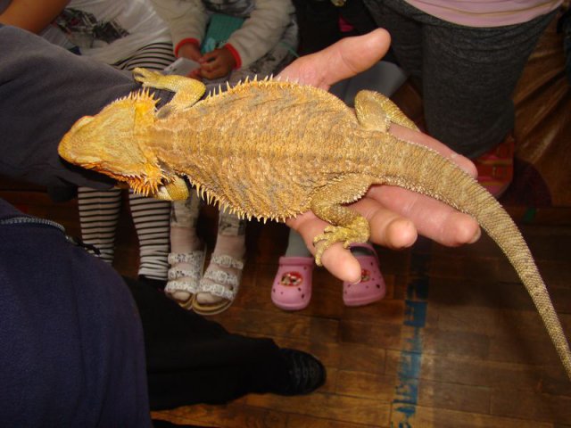 DSC08507