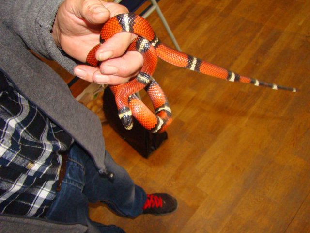 DSC08557