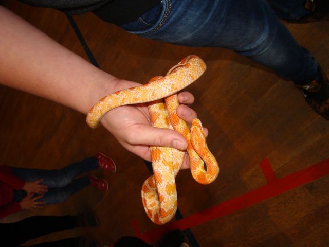 DSC08560