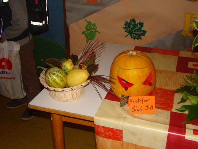 DSC08756