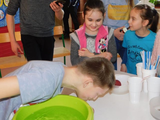 DSCN0614