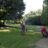SAM_3806